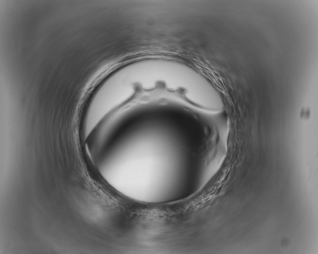 X0000096130197200801251025