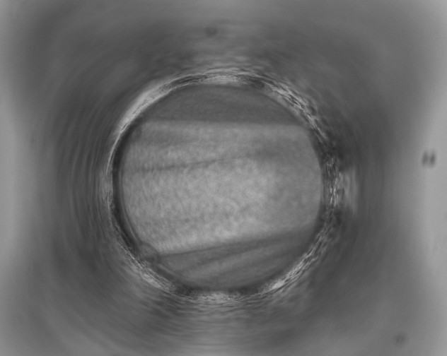 X0000096130198200801251025