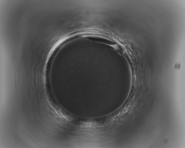 X0000096130200200801251025
