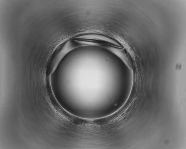 X0000096130201200801251025