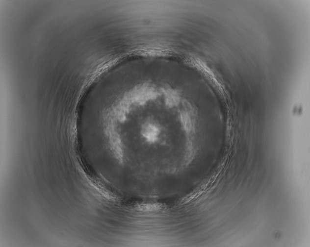 X0000096130202200801251025