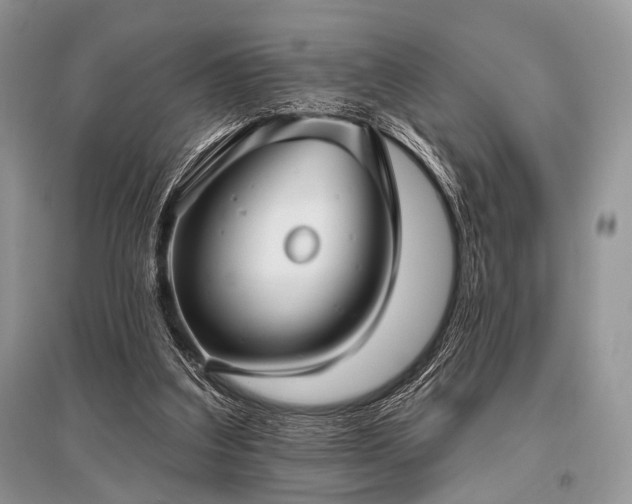 X0000096130203200801251025