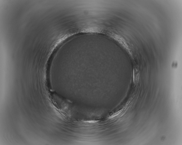 X0000096130204200801251025
