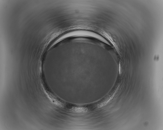 X0000096130205200801251025