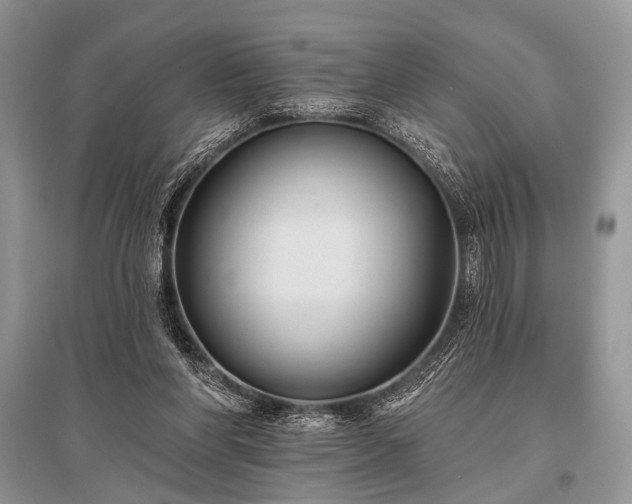 X0000096130206200801251025