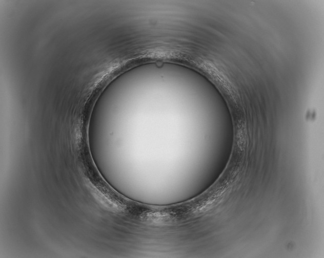 X0000096130208200801251025