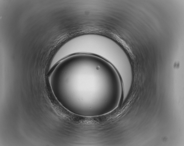 X0000096130209200801251025