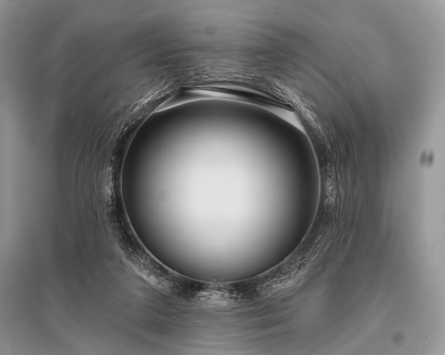 X0000096130211200801251025