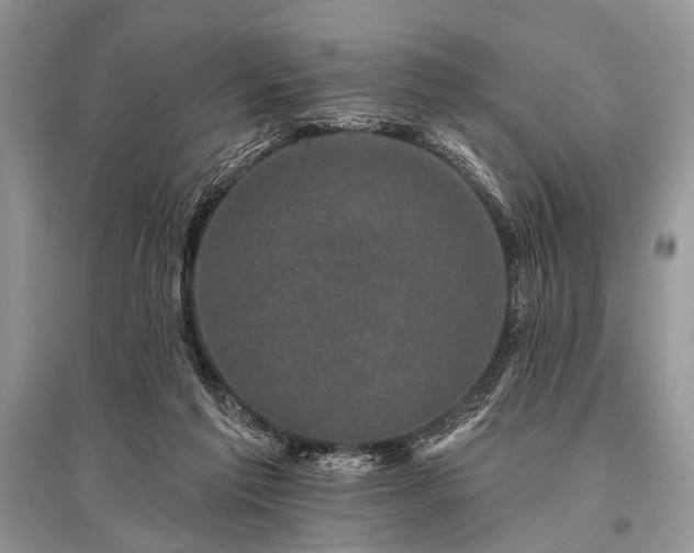 X0000096130213200801251025