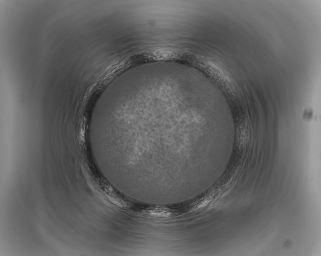 X0000096130214200801251025