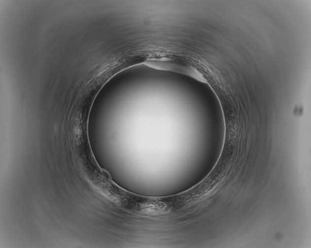 X0000096130215200801251025
