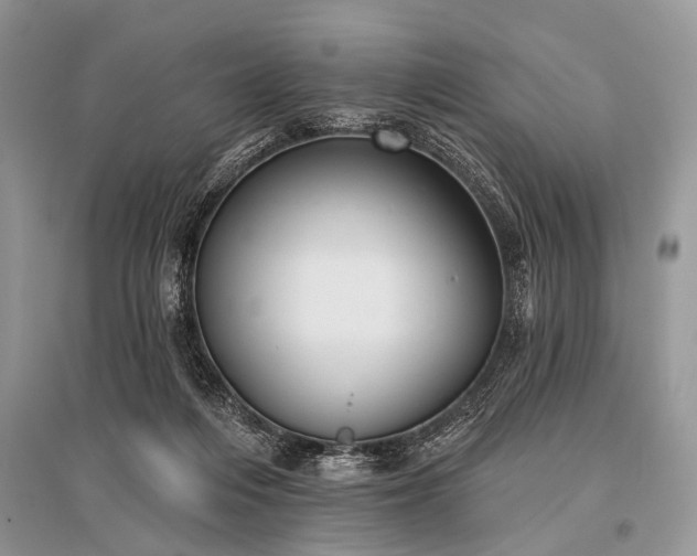 X0000096130216200801251025