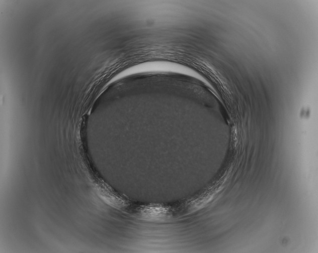 X0000096130217200801251025