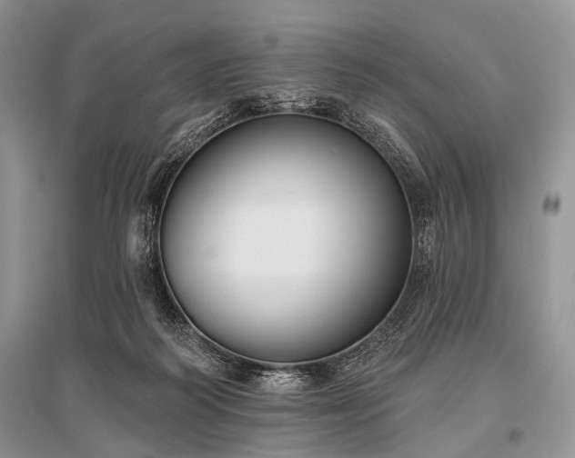 X0000096130218200801251025
