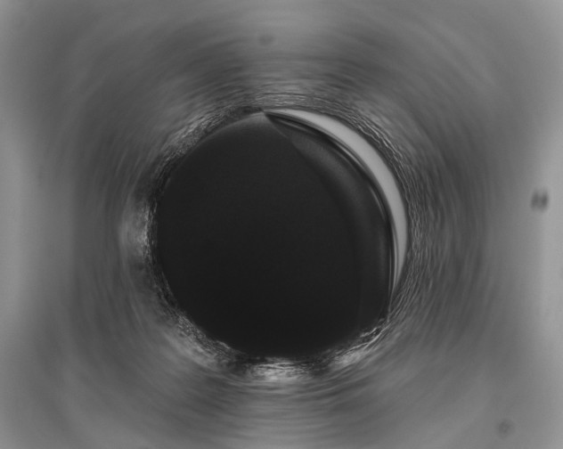 X0000096130219200801251025