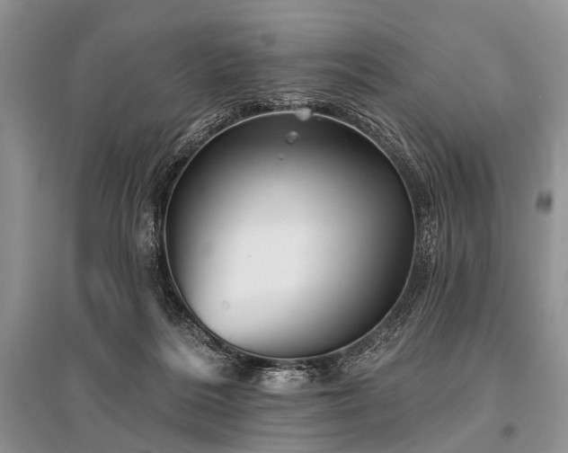 X0000096130220200801251025
