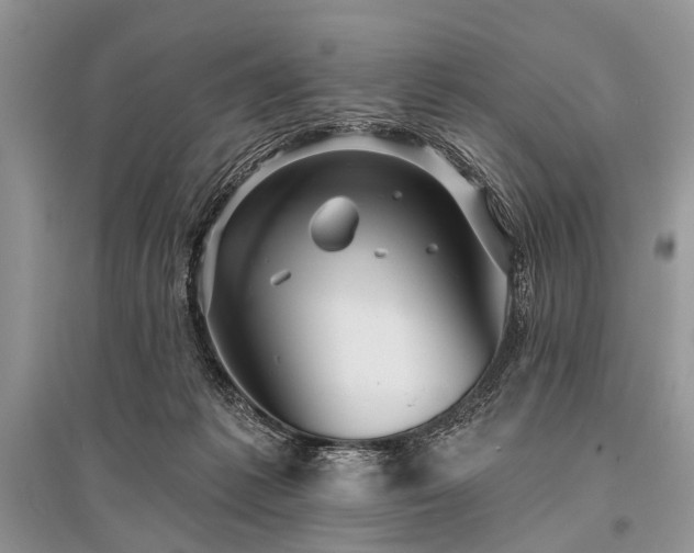 X0000096130221200801251025