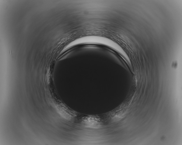 X0000096130223200801251025