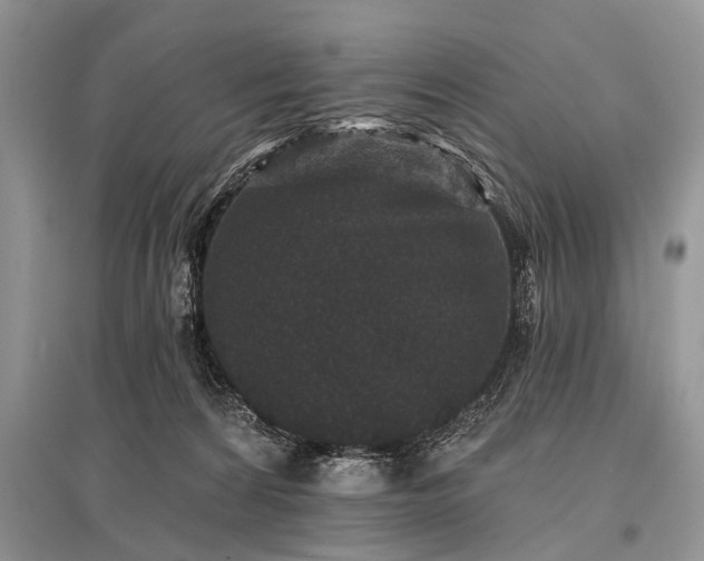 X0000096130224200801251025