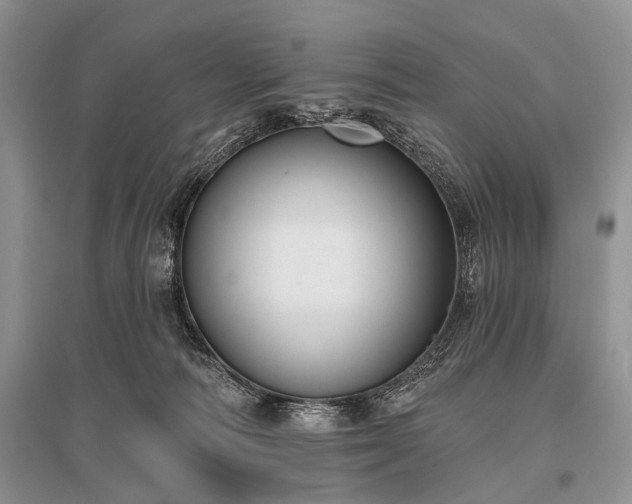 X0000096130226200801251025