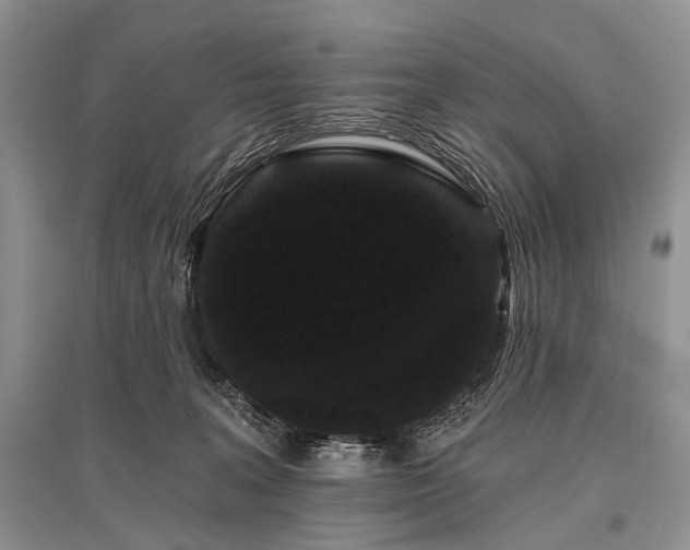 X0000096130227200801251025