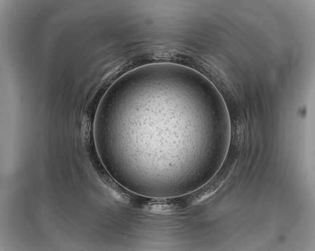 X0000096130228200801251025