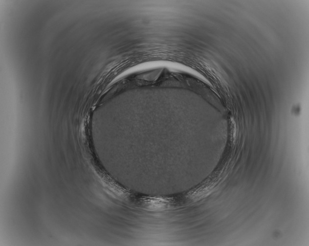 X0000096130229200801251025