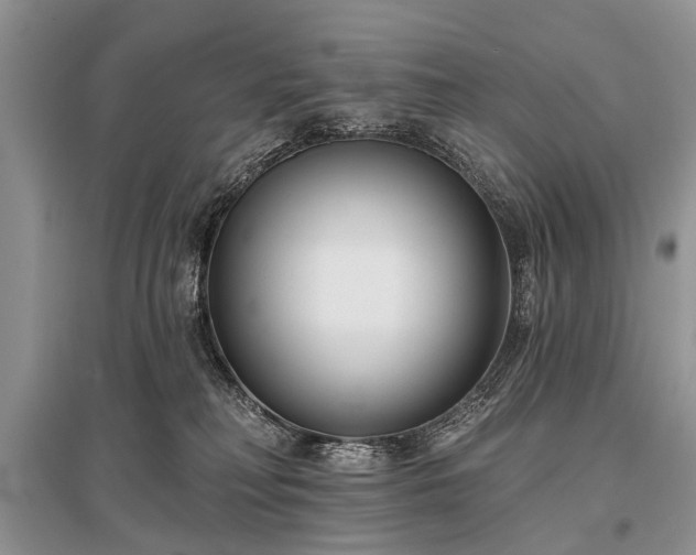 X0000096130230200801251025