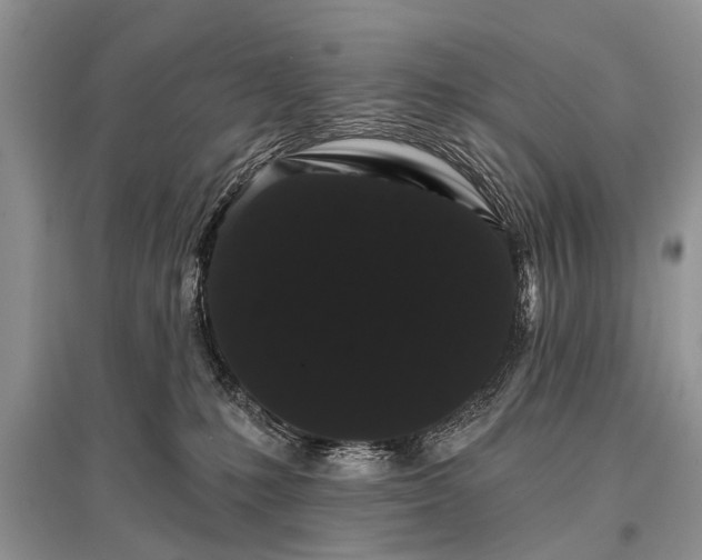 X0000096130231200801251025