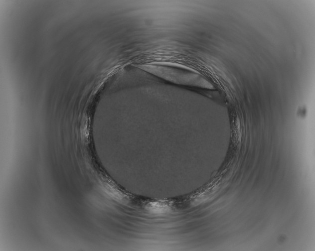 X0000096130232200801251025