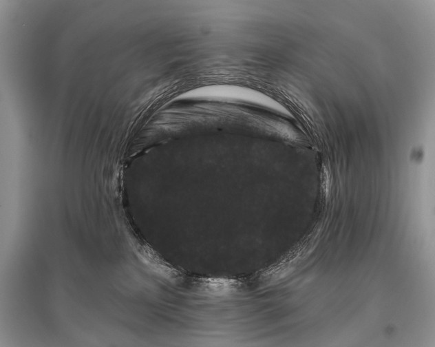 X0000096130233200801251025