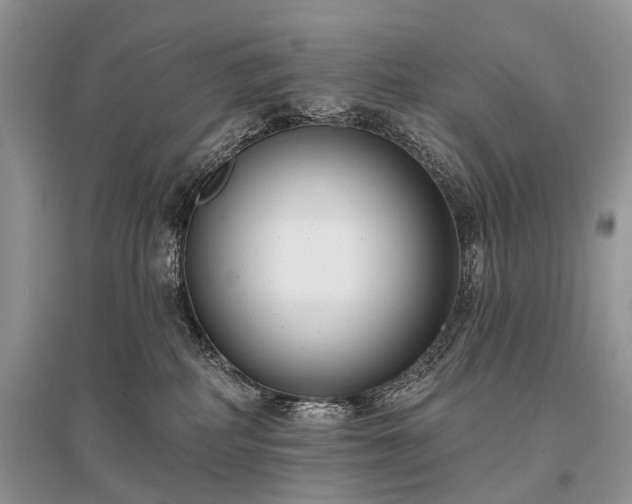 X0000096130234200801251025