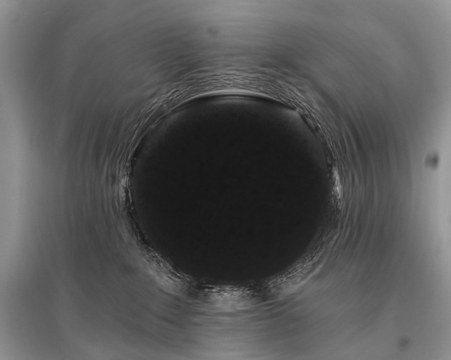 X0000096130235200801251025