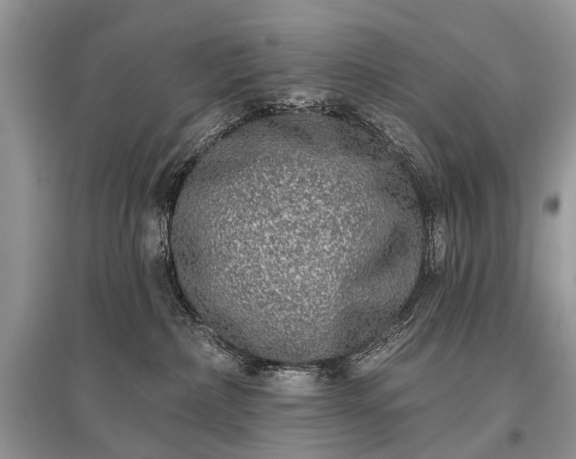 X0000096130236200801251025
