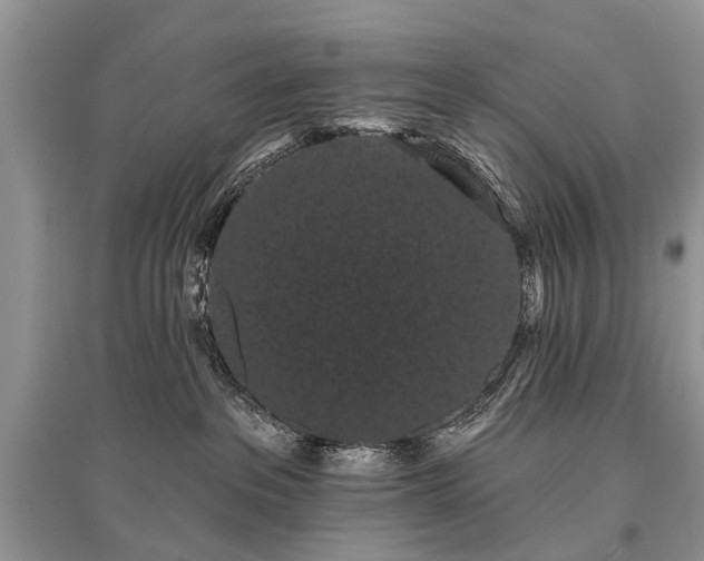 X0000096130237200801251025