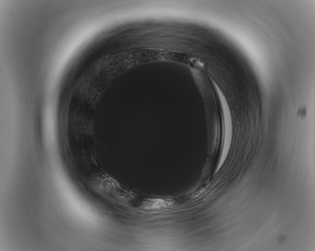 X0000096130239200801251025