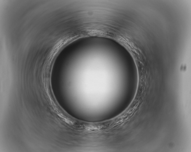 X0000096130241200801251024