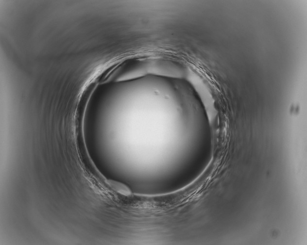 X0000096130244200801251024