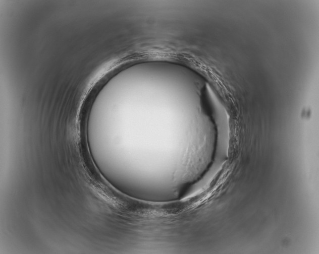 X0000096130246200801251024