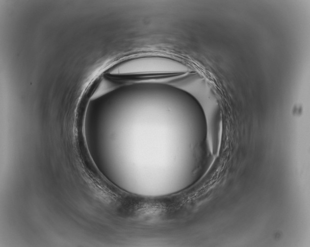 X0000096130248200801251024