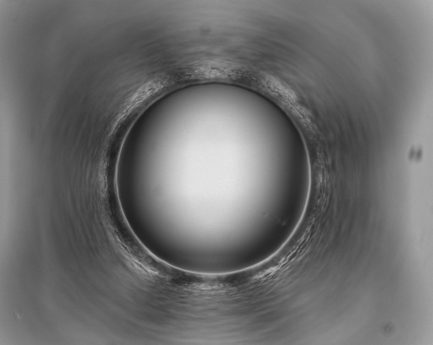X0000096130250200801251024
