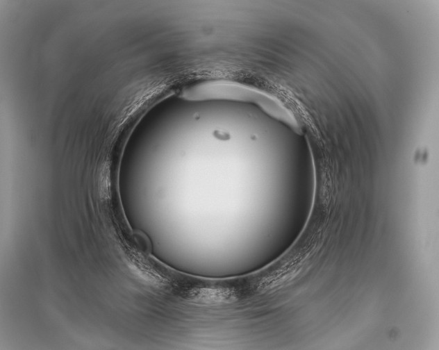 X0000096130251200801251024