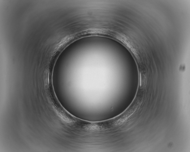 X0000096130253200801251024
