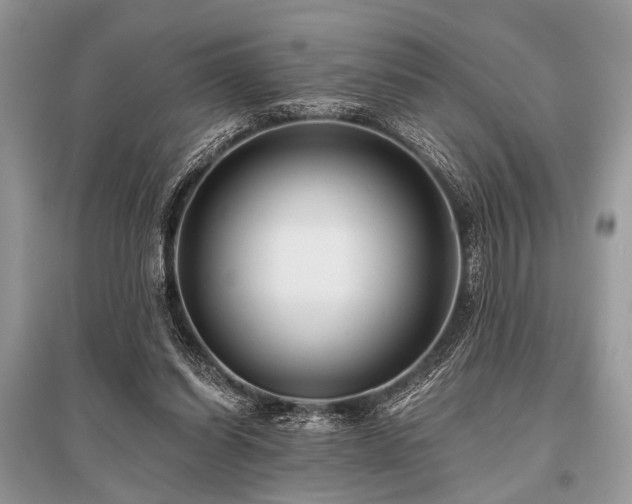 X0000096130254200801251024