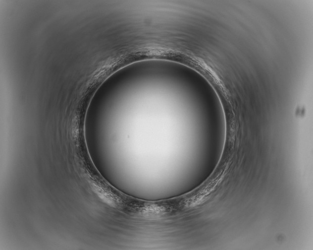 X0000096130257200801251024