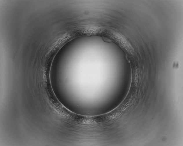 X0000096130258200801251024