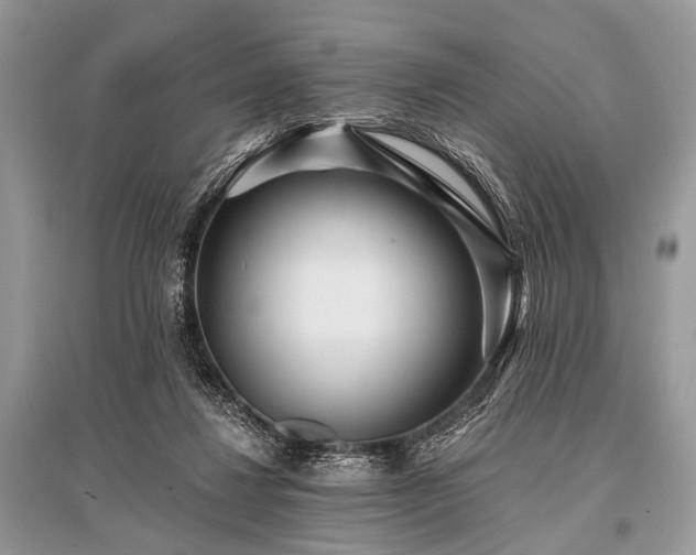X0000096130260200801251024