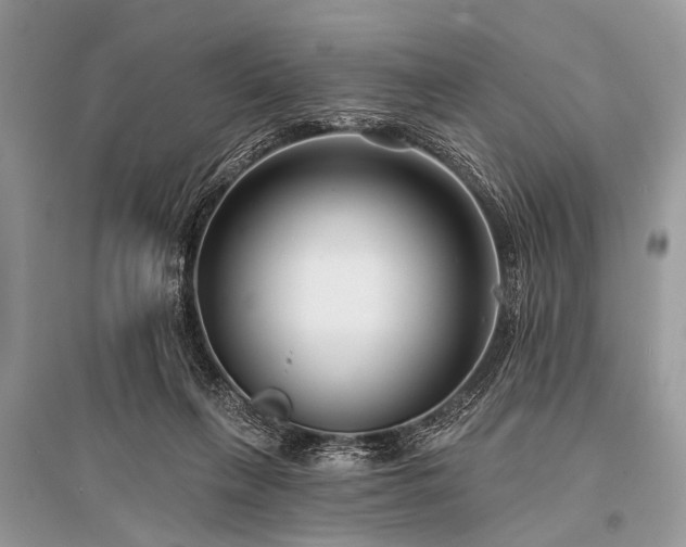 X0000096130263200801251024
