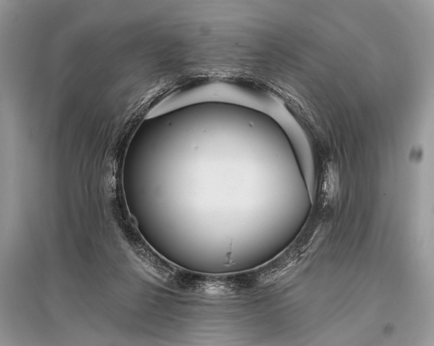 X0000096130264200801251024