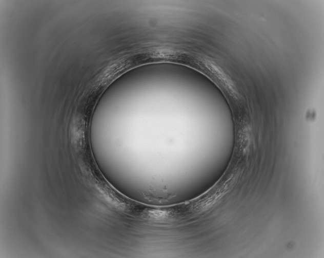 X0000096130265200801251024